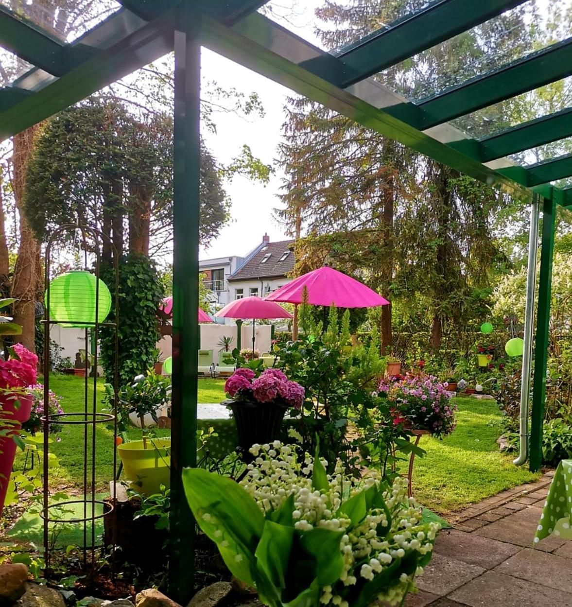 Schifferkrug Hotel & Weinstube เซลเลอ ภายนอก รูปภาพ