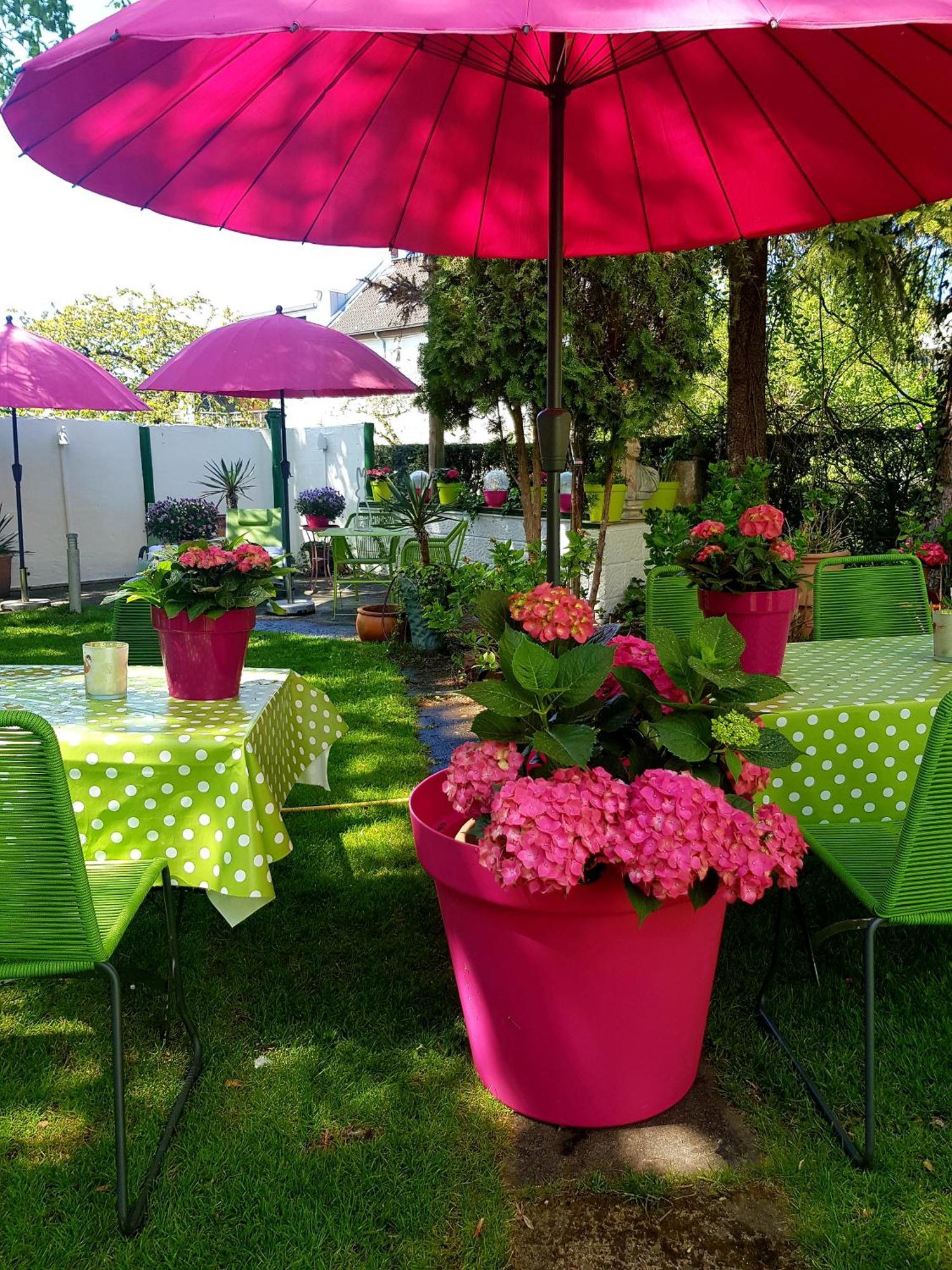 Schifferkrug Hotel & Weinstube เซลเลอ ภายนอก รูปภาพ